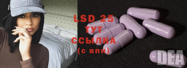 ГАЛЛЮЦИНОГЕННЫЕ ГРИБЫ Магас