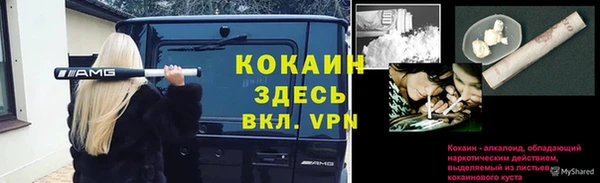 винт Майский