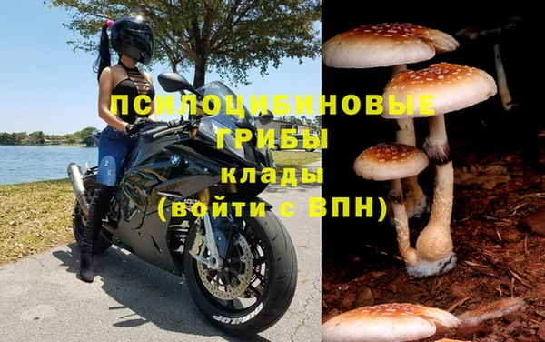 винт Майский