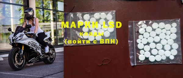 ГАЛЛЮЦИНОГЕННЫЕ ГРИБЫ Магас