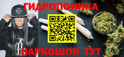 дмт Будённовск