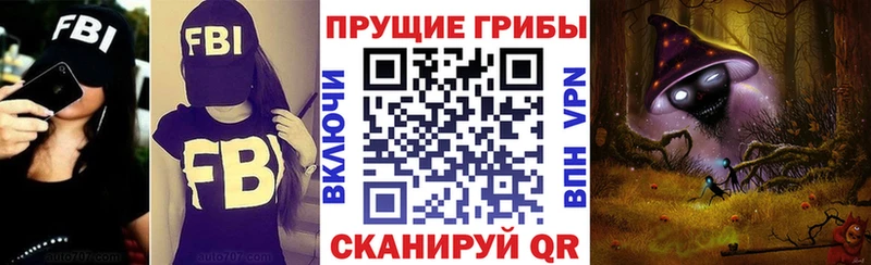 сколько стоит  Тейково  Галлюциногенные грибы мухоморы 