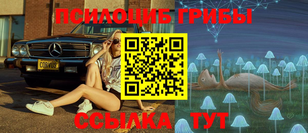Галлюциногенные грибы мицелий  Вход с VPN  Тейково  Псилоцибиновые грибы Psilocybine cubensis 