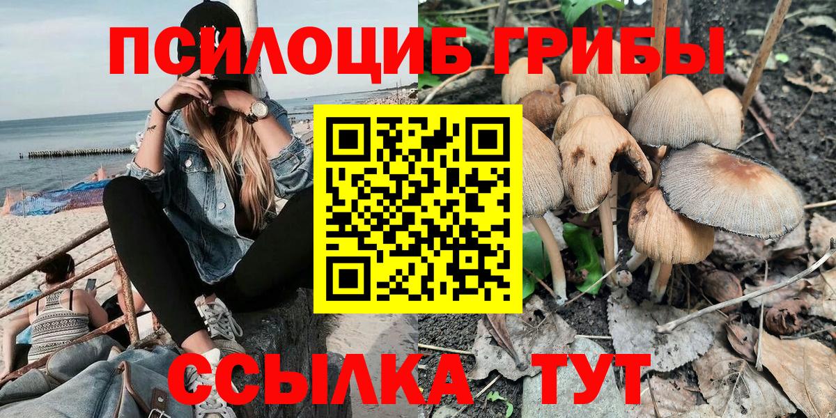 Галлюциногенные грибы Psilocybine cubensis  Тейково 