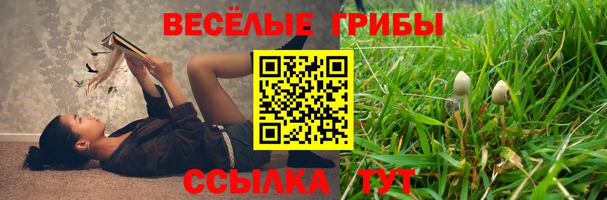 Псилоцибиновые грибы прущие грибы Тейково